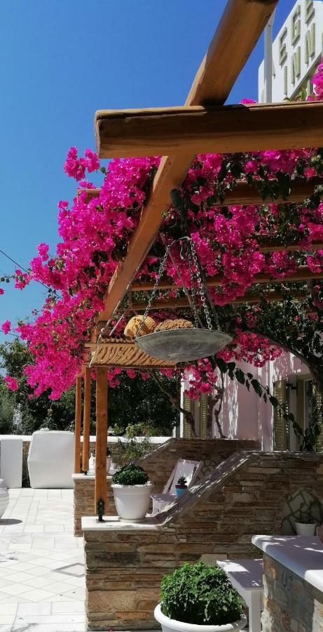 Aegeo Inn Antiparos Exterior photo